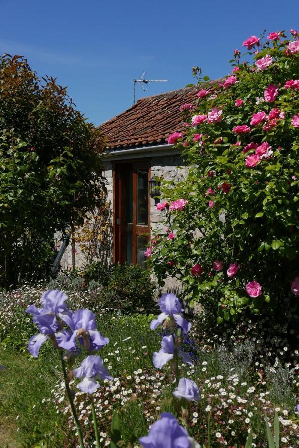 The Potting Shed, Self Contained, Detached Retreat In Shapwick Village Dış mekan fotoğraf
