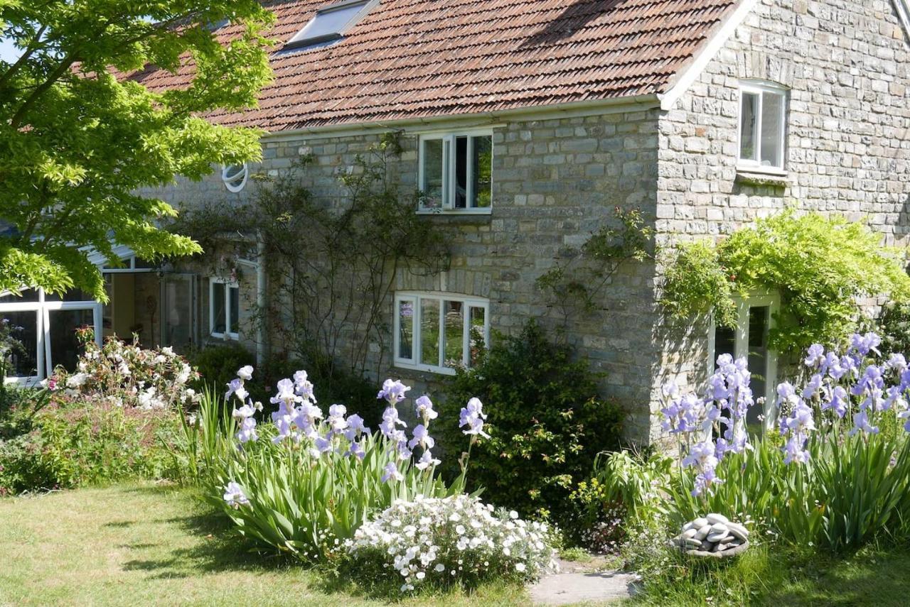 The Potting Shed, Self Contained, Detached Retreat In Shapwick Village Dış mekan fotoğraf
