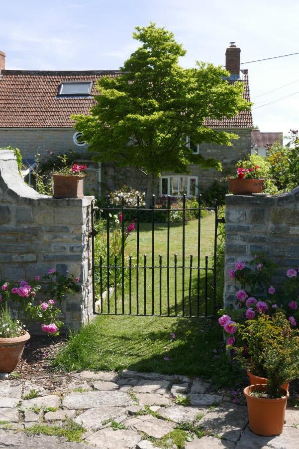 The Potting Shed, Self Contained, Detached Retreat In Shapwick Village Dış mekan fotoğraf